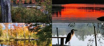 Long Lake Camp, Dock, W/d, Cable, WiFi, Sleeps 8, Great Fishing