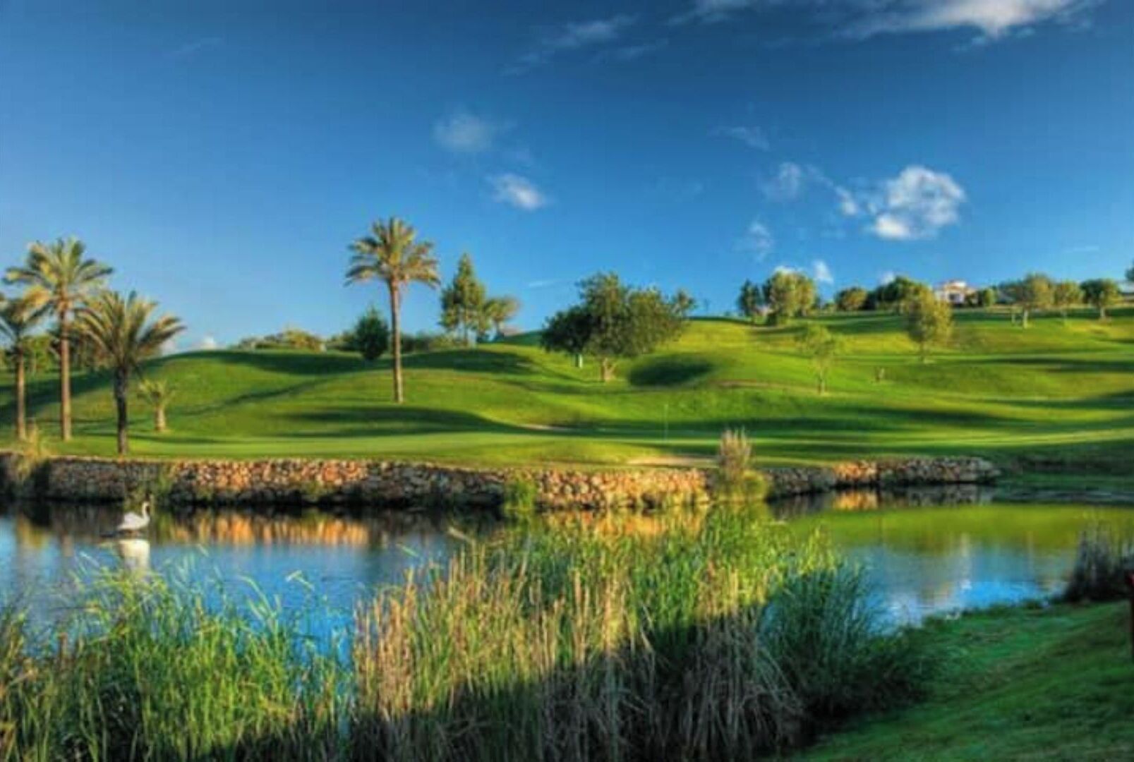 Un campo de golf con un estanque, palmeras y un cielo azul despejado.