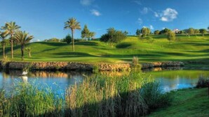 A golf course with a pond, palm trees, and a clear blue sky. - Charming, comfortable apartment in a good location (Portimão)
