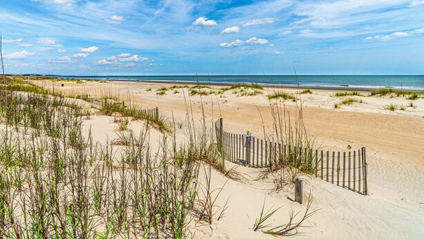 Une plage bordée d’une clôture en bois, avec des dunes de sable et un ciel bleu dégagé.