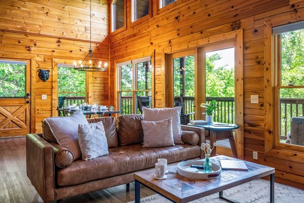 Smart TV, fireplace, books, stereo