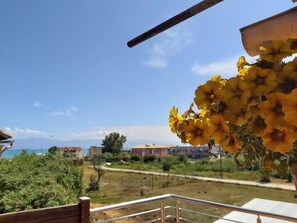 Vista dalla struttura