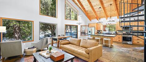 TV connectée, cheminée, livres, chaîne hi-fi