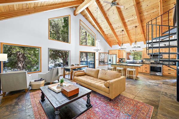 Smart TV, fireplace, books, stereo