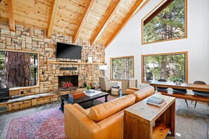 Smart TV, fireplace, books, stereo