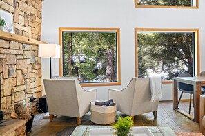 Smart TV, fireplace, books, stereo