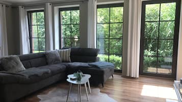TV, fireplace, video games
