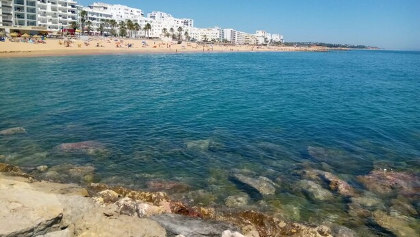 A beach with clear water, white buildings, and palm trees. - T1 SOL 200m Praia Vista MAR Wi-fi (Loulé)