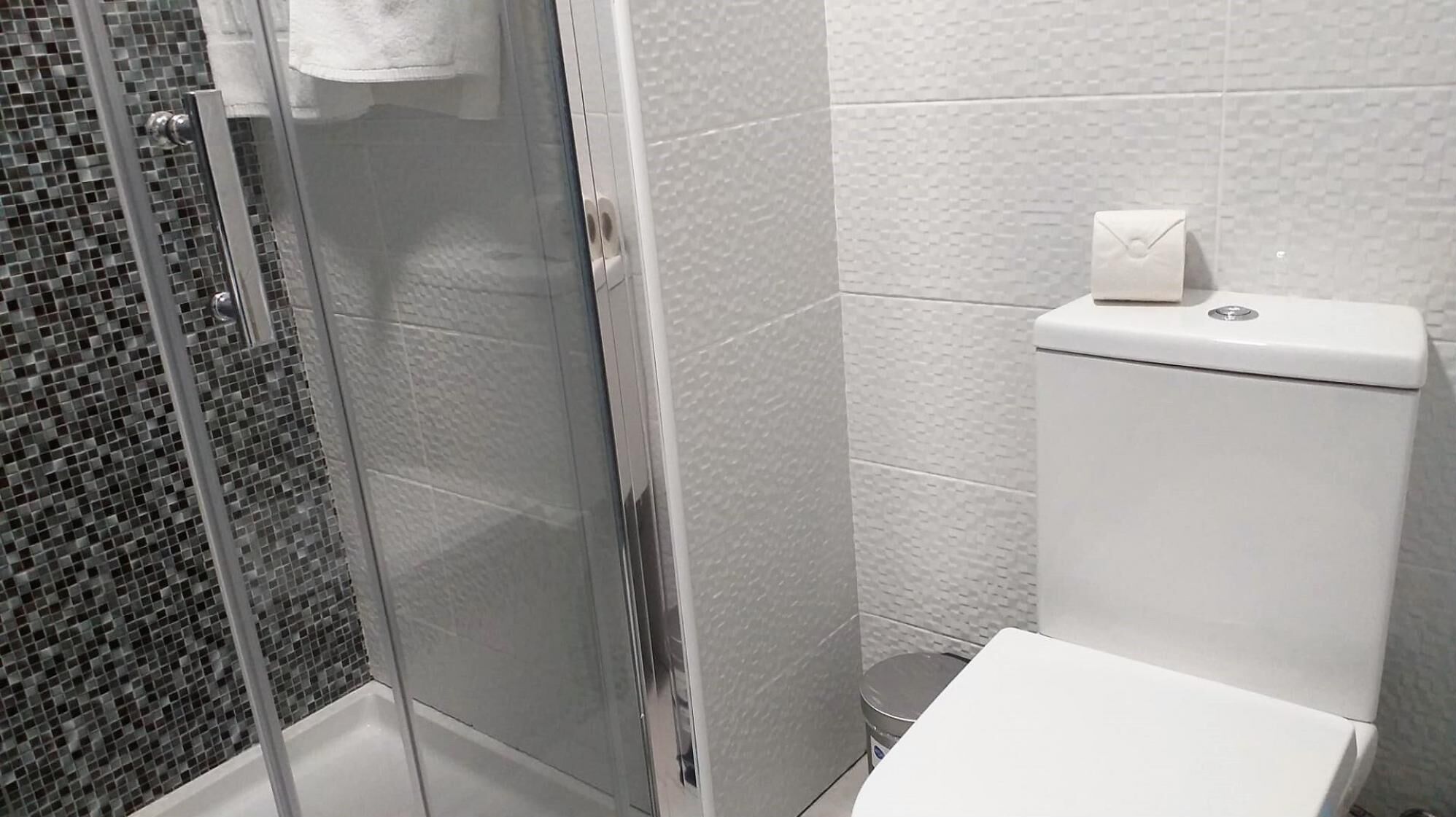 A bathroom with a glass shower enclosure, a white toilet, and a tiled wall.