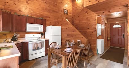 Moose Lodge - scenic Adirondack cabin escape + lake access