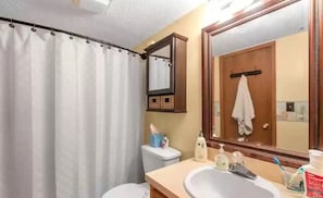 Combined shower/tub, towels, shampoo, toilet paper