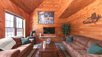 Smart TV, fireplace, video games, DVD player