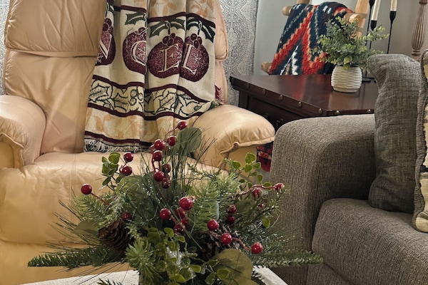 Smart TV, DVD player, books, music library