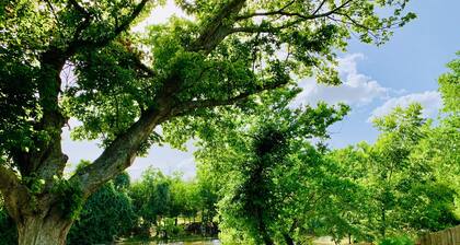 Mayfield @ Oyster Creek - Tranquil Creek & Nature!