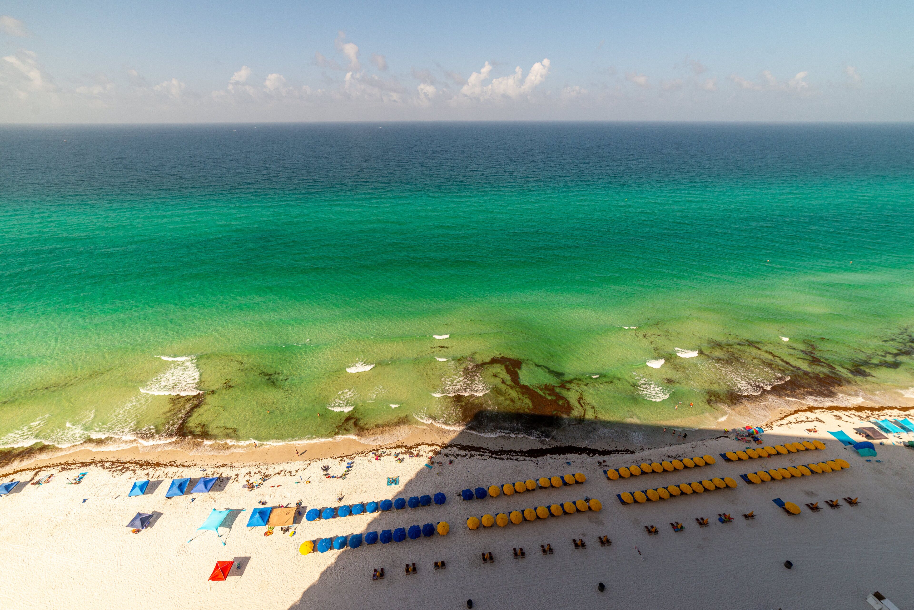 Vista aérea de una playa con filas de tumbonas y sombrillas, un océano azul claro y una orilla arenosa.