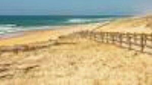 A beach with a wooden fence and a clear blue sky.