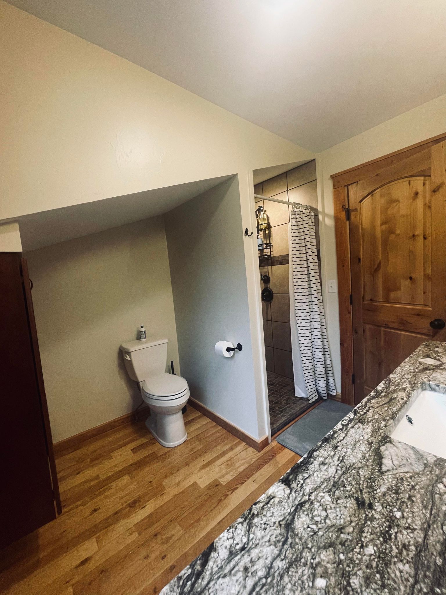 A bathroom with a toilet, shower, and wooden door.