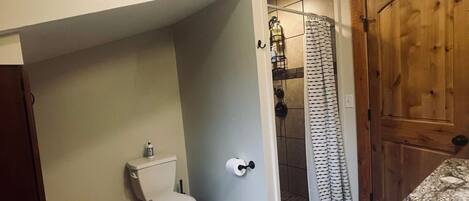 A bathroom with a toilet, shower, and wooden door.