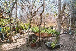Guests can enjoy a serene garden setting surrounded by trees and a rustic wooden structure.