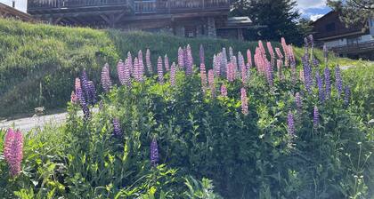 Chalet Marthe 260m2, lake view, 5 stars. Chairlift 300m, center 10mn walk.