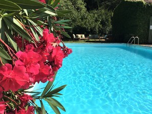 Ein Schwimmbad mit klarem, blauem Wasser, umgeben von üppiger Vegetation und einem gepflegten Heckenstreifen.
