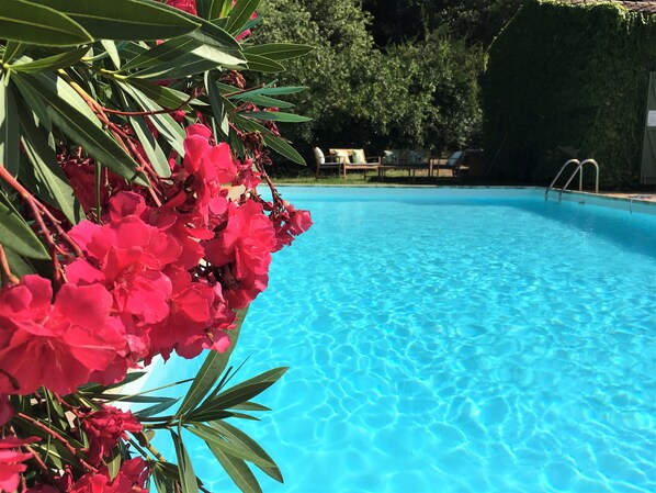 A swimming pool with clear blue water, surrounded by lush greenery and a well-maintained hedge. - New ! Enchanting Villa 4 bedrooms 4 bathrooms (La Garde-Freinet)