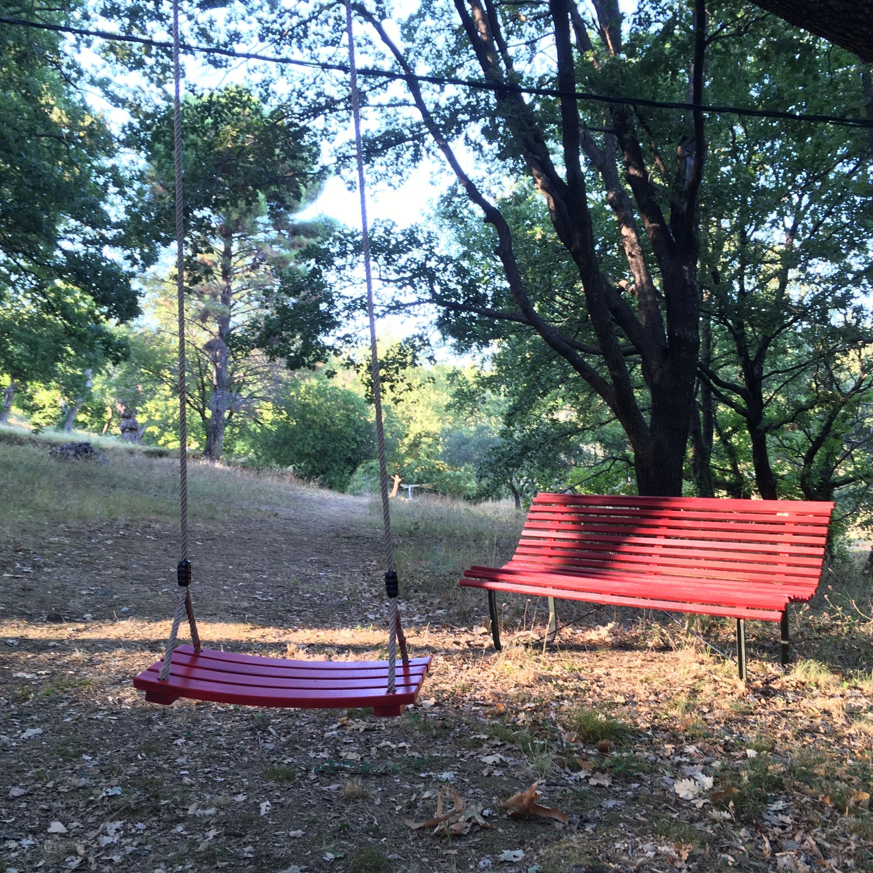 A red bench and a swing set in a park with trees and grass.