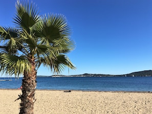 Ein Strand mit einer Palme und blauem Himmel.