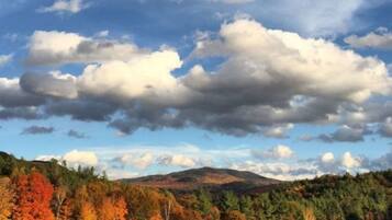 A landscape with a hill, trees with autumn foliage, and a wooden structure.