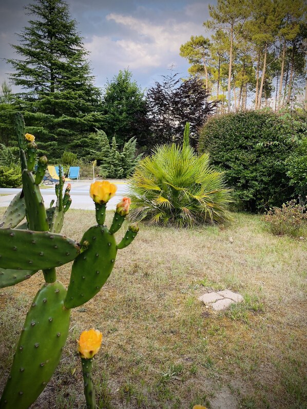 المنطقة المحيطة بالمنشأة