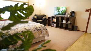 Une chambre à coucher avec un lit, une chaise, un téléviseur et une bibliothèque.