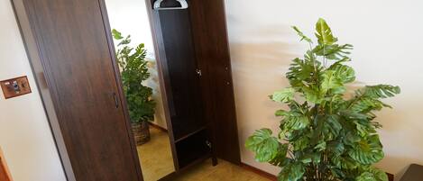 A room with a wardrobe, a mirror, and a potted plant.