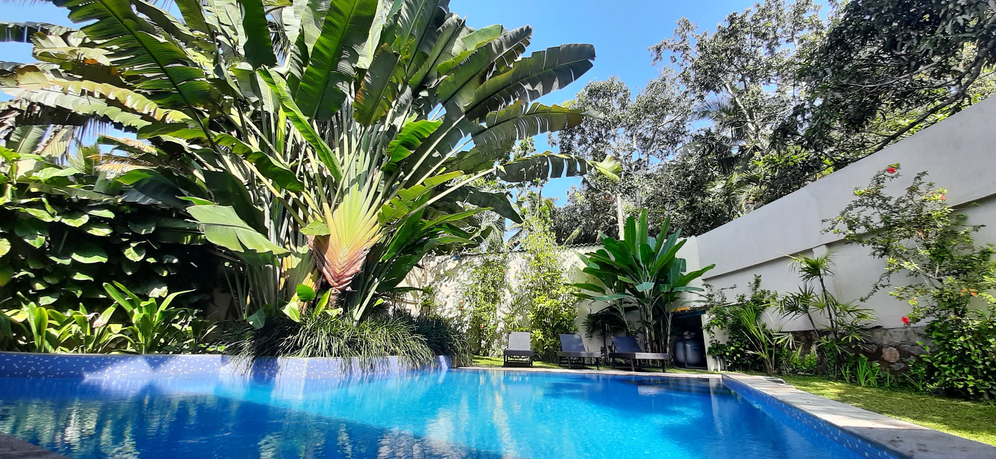 حمّام سباحة خارجي