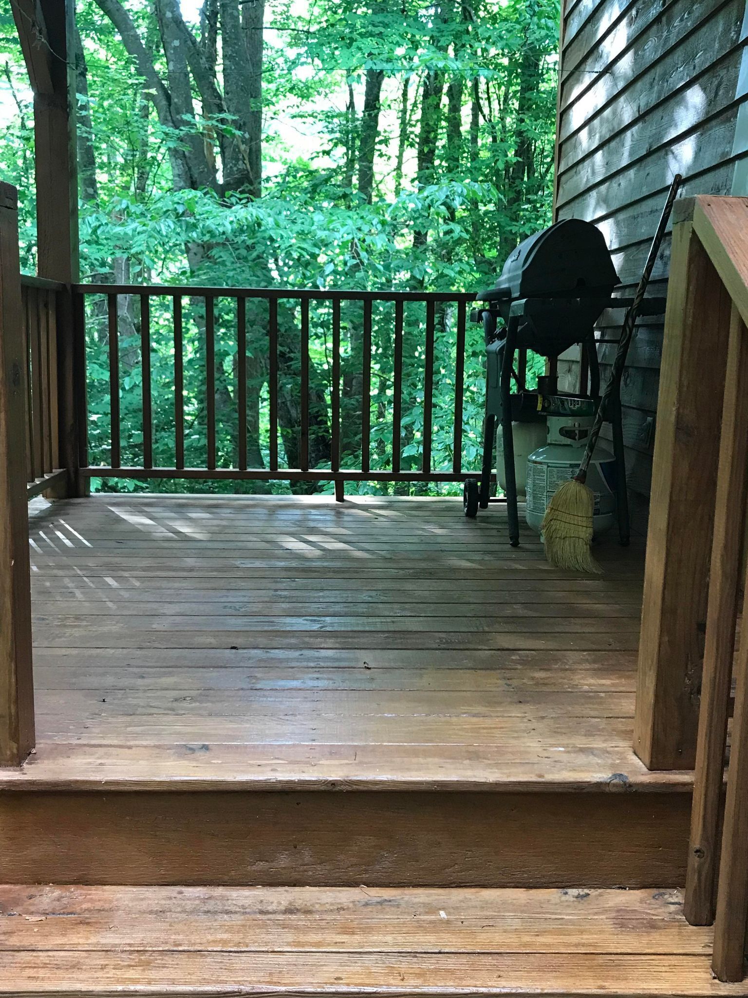 A wooden deck with a metal railing, surrounded by dense green foliage.