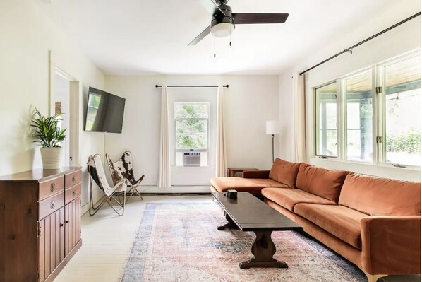 Smart TV, computer monitors