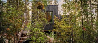 Black Spruce - Orange Door