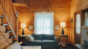 Smart TV, caminetto, libri