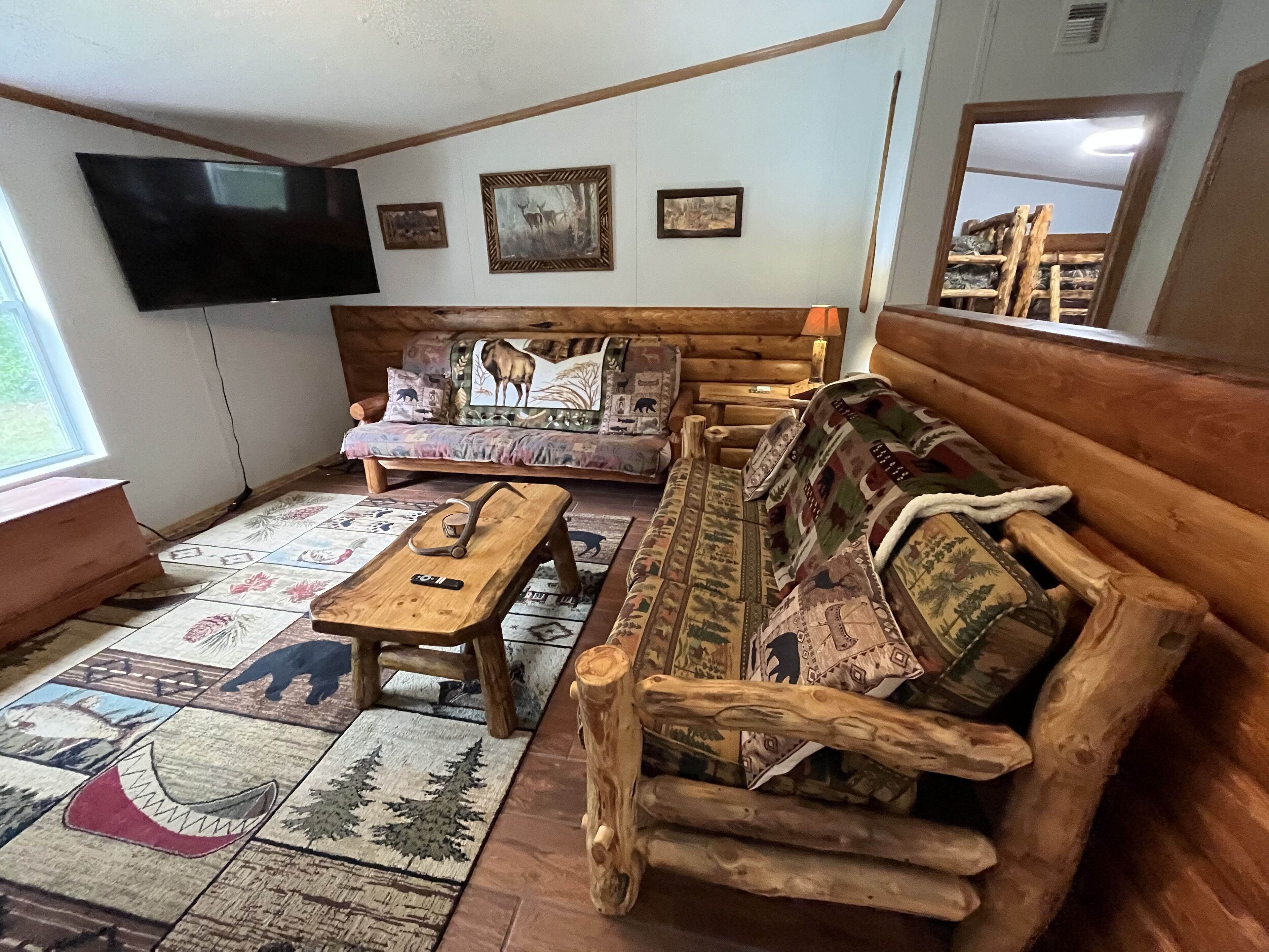 Smart TV, DVD player, books, video library