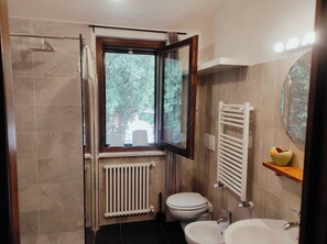 Shower, hair dryer, bidet, towels