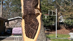 Una gran escultura de madera de un águila tallada en el tronco de un árbol.