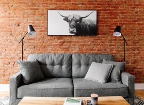 TV connectée, cheminée, livres