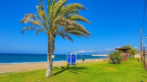 A beachside view with a palm tree, a blue portable toilet, and a small building near the water.
