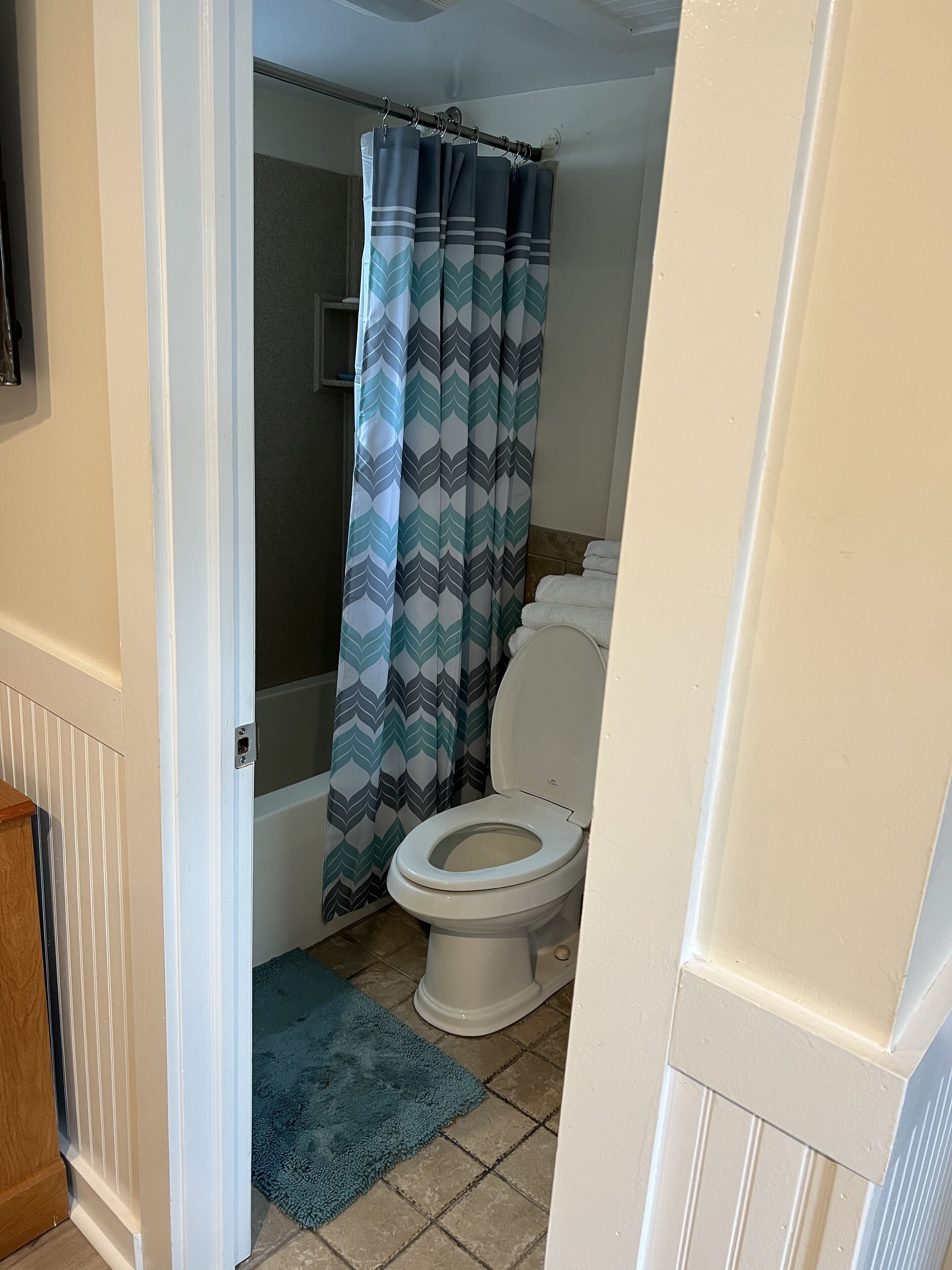 Un baño con inodoro, cortina de ducha y una alfombra azul.