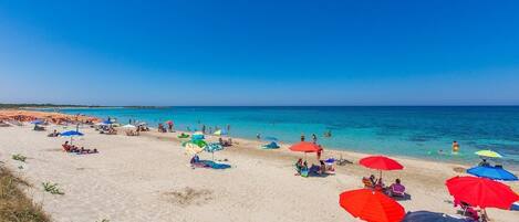 بالقرب من الشاطئ، كراسي للتشمس