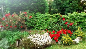 A garden with various flowering plants and shrubs, a stone wall, and a grassy area. - Nice apartment for 2 guests with A/C and terrace (Sorrento)