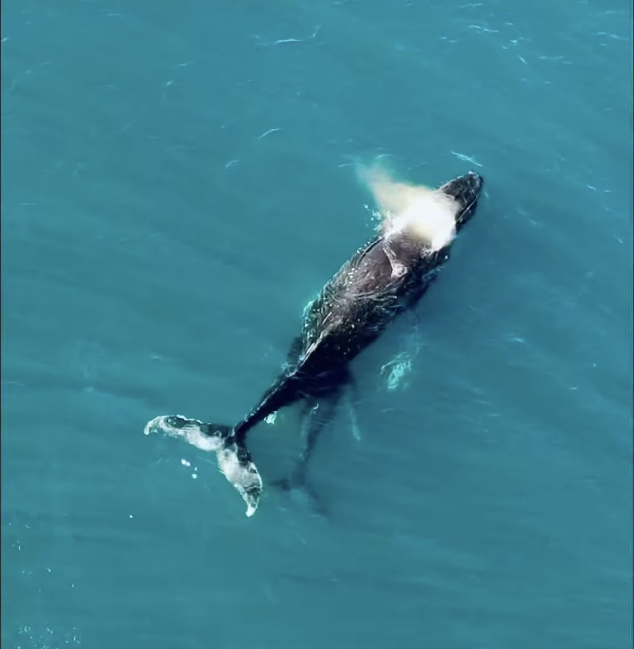 Silver Beach Penthouse — image 2