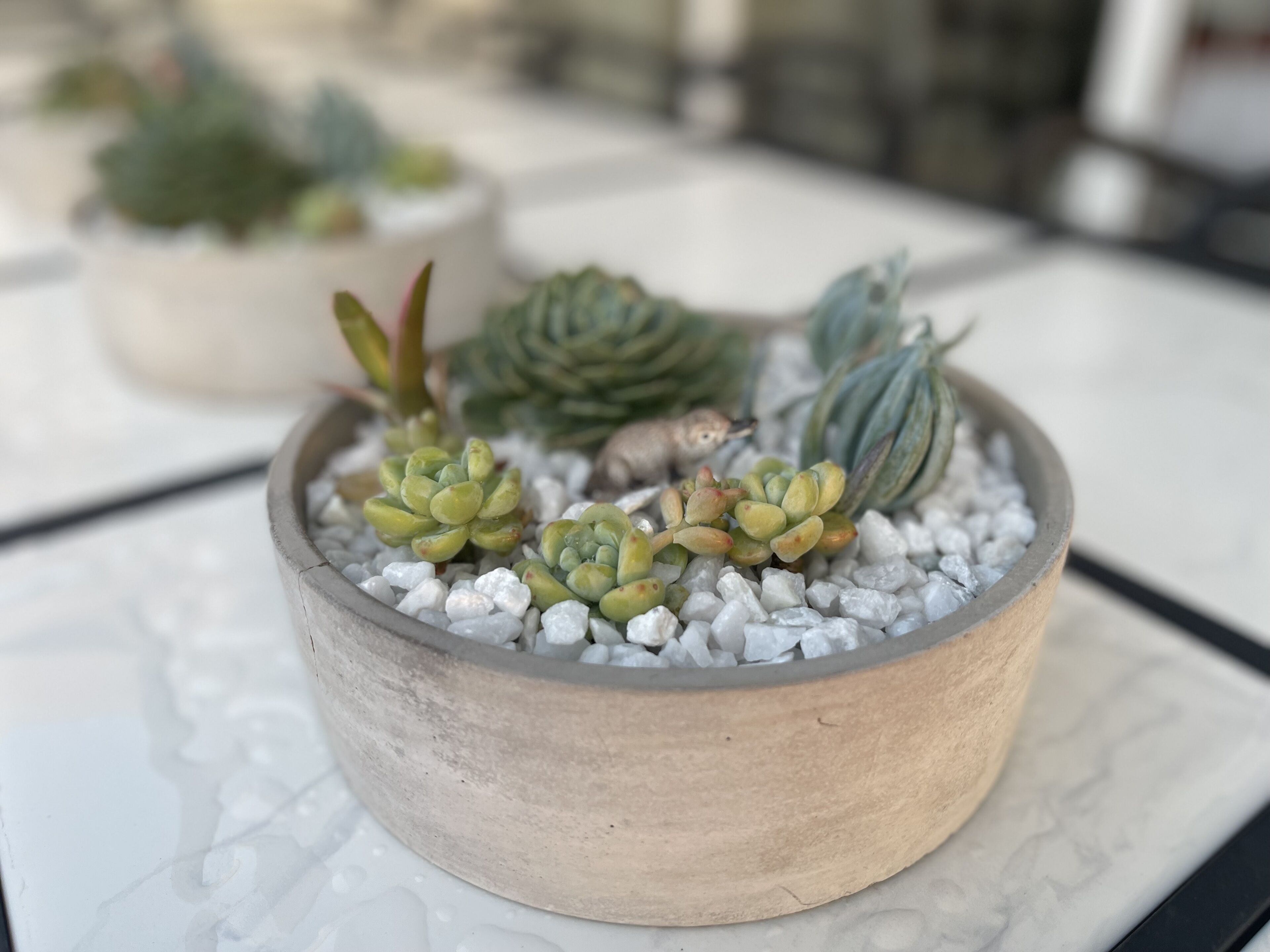 Silver Beach Penthouse — image 13