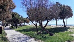A paved pathway lined with trees and grass, leading towards a beach. - T1 Avenida Mar 8 200m Praia Wi-fi 4 Pessoas (Loulé)