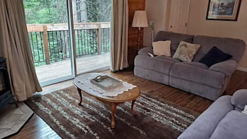 TV, fireplace, DVD player, books