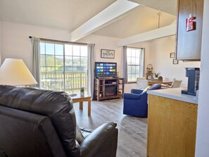 Smart TV, fireplace, DVD player, books